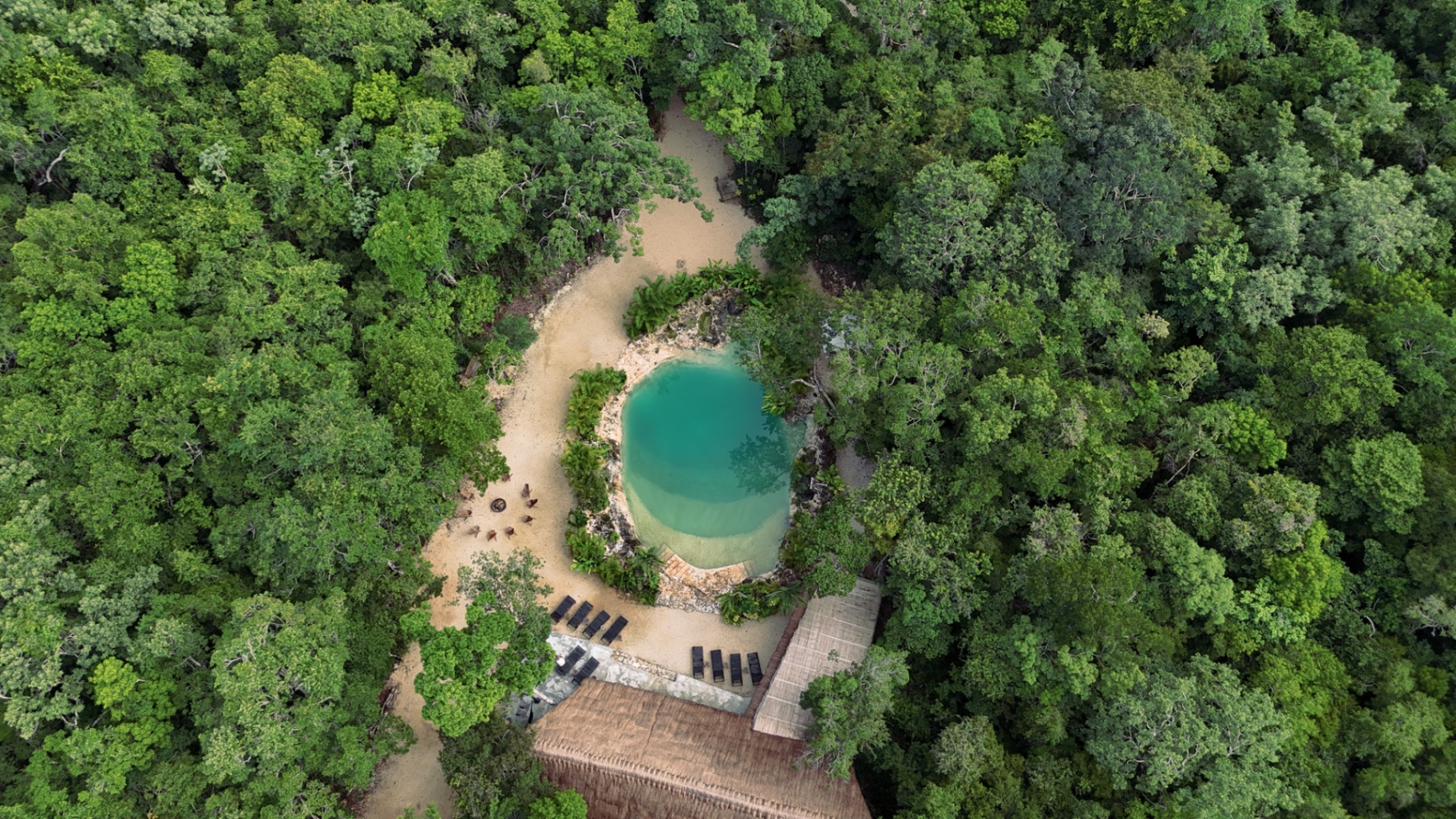 Selva de Tulum al amanecer