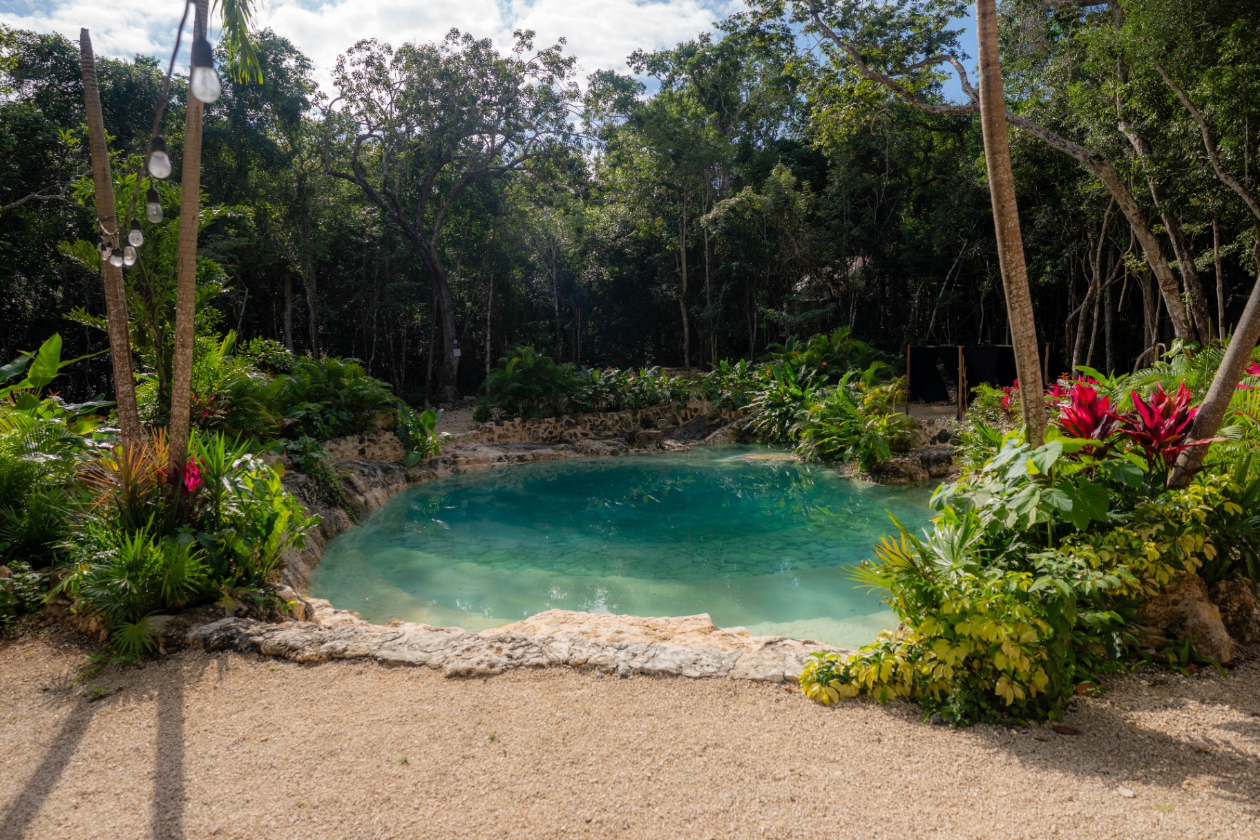 Cenote cristalino entre la selva