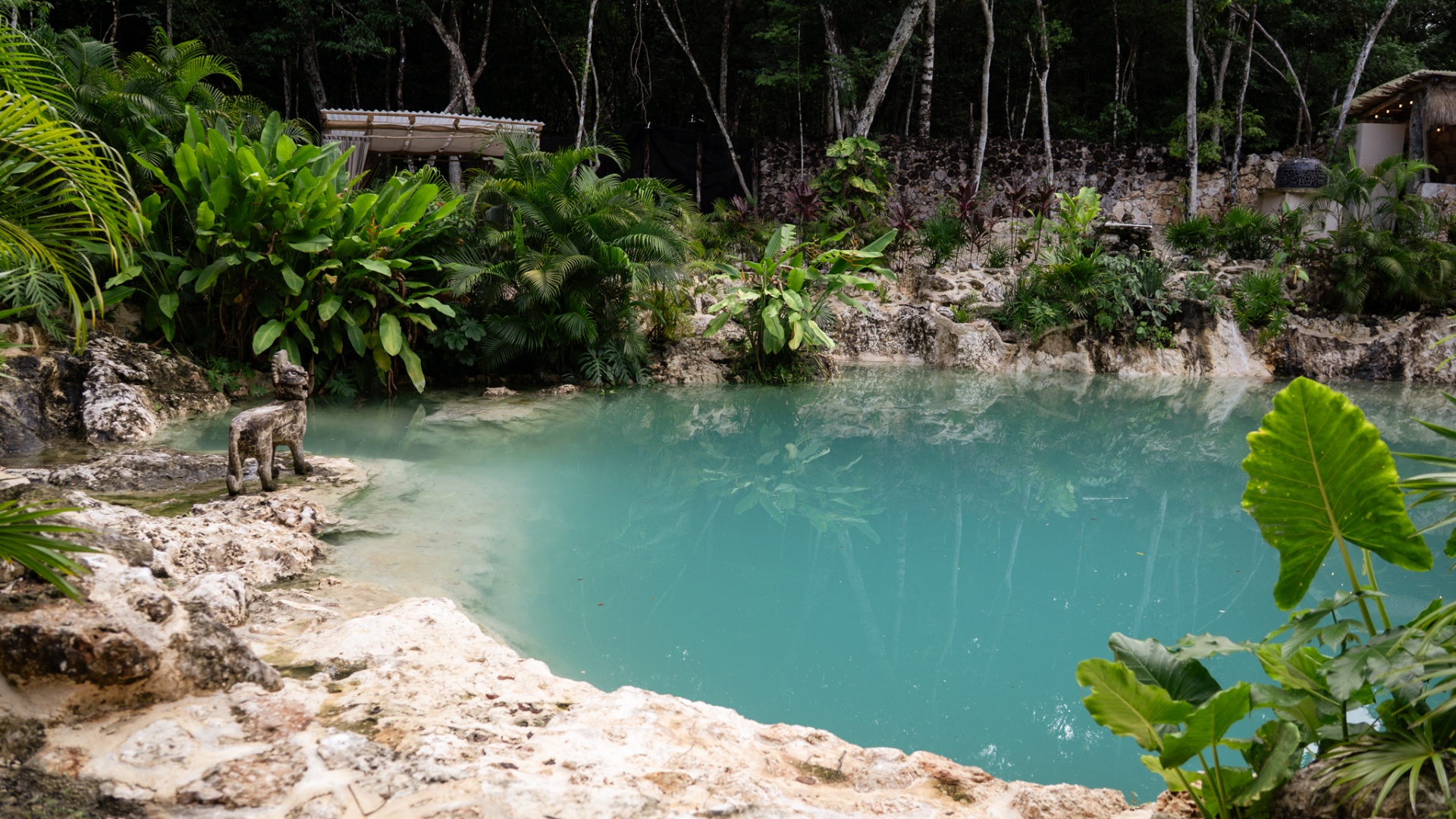 Cenote turquesa rodeado de selva